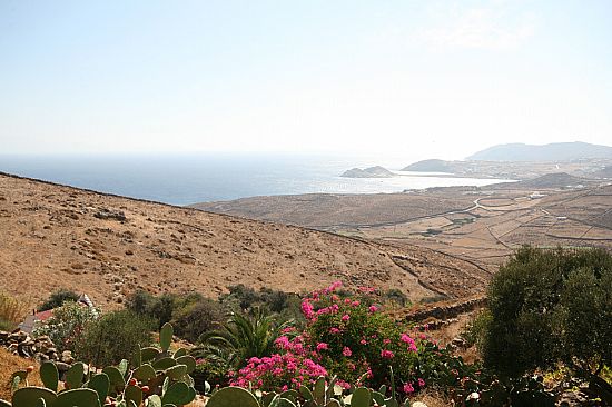 Mykonos Villas - Villa Anthea