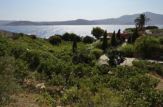 Mykonos Villas - Villa Althea